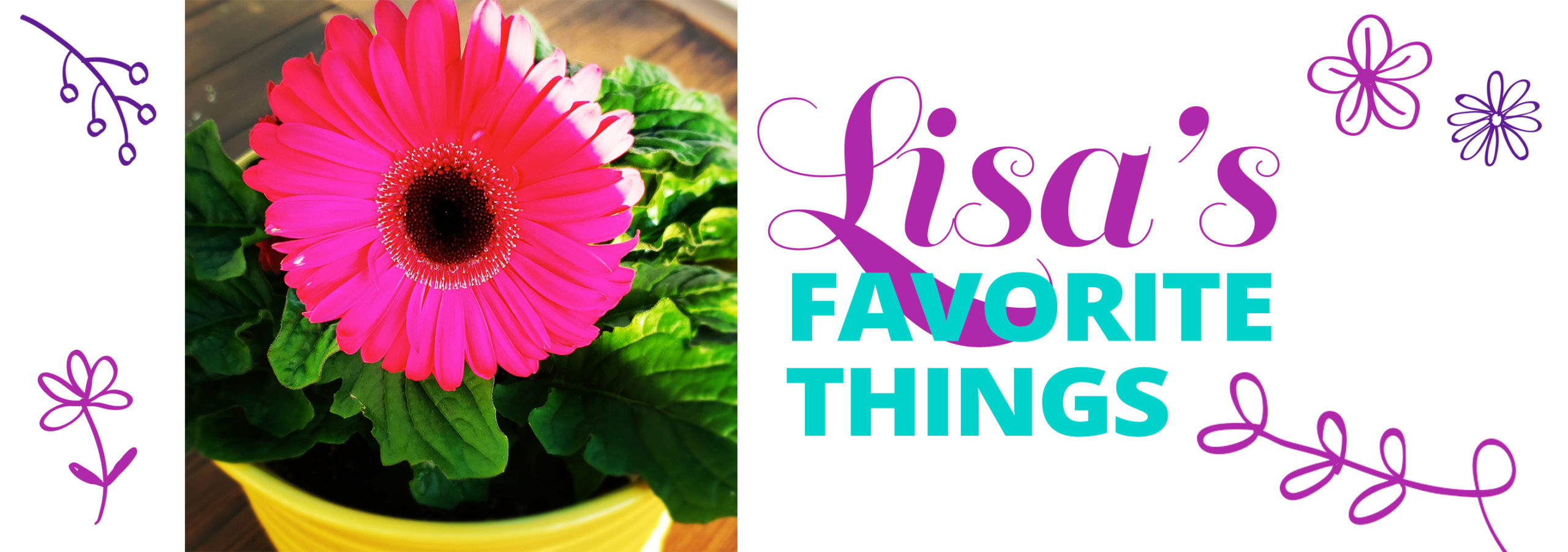 lisa-header-HERO-FAVORITE Weight loss journey